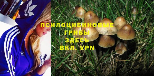 дмт Белоозёрский