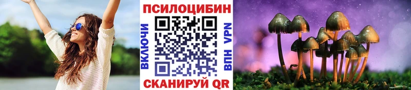 Псилоцибиновые грибы Psilocybine cubensis  Железногорск-Илимский 